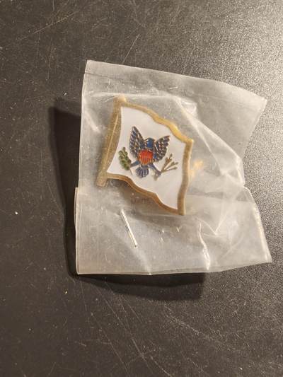 老王徽章第142期 - 美国陆军旗帜徽章