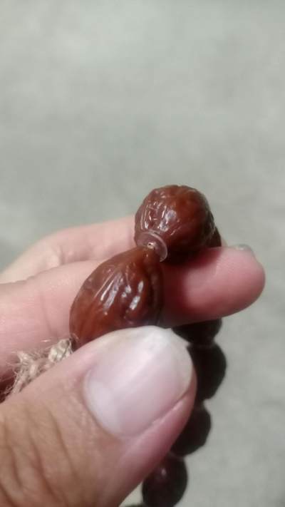 秋子手串