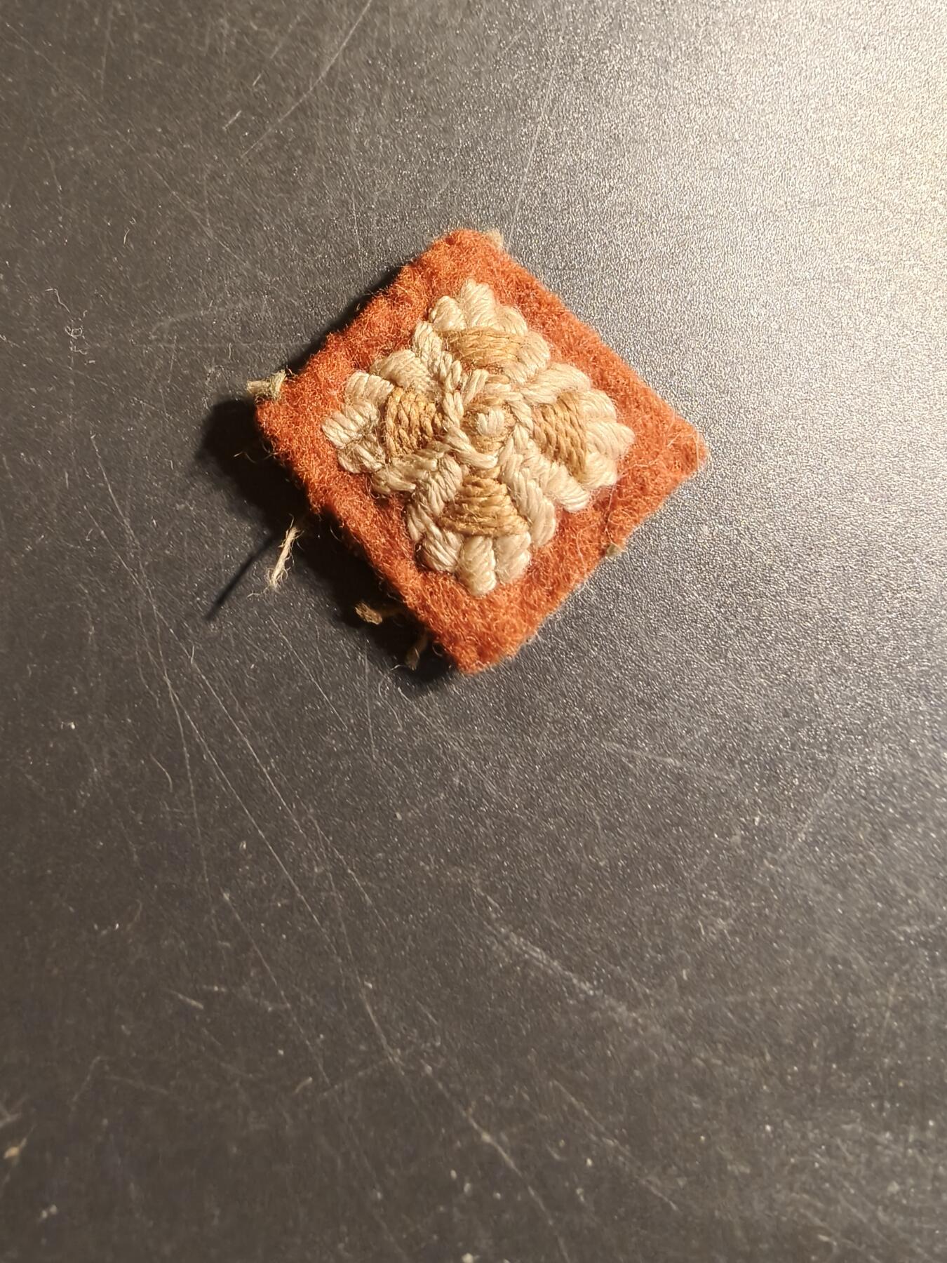 老王徽章第142期