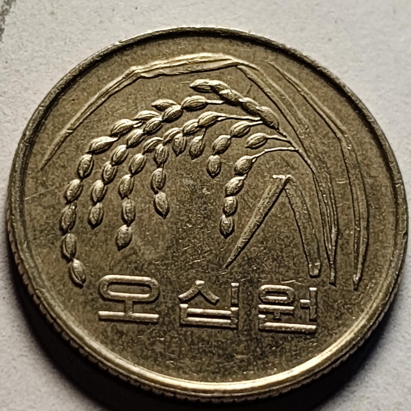 泉币菌-第86场-散币欢乐场