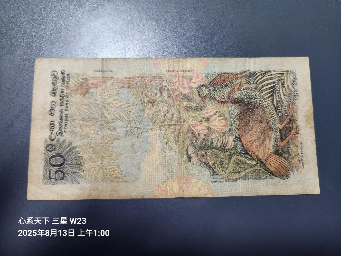 8月15号晚上8点 外国纸币自动截拍第7场