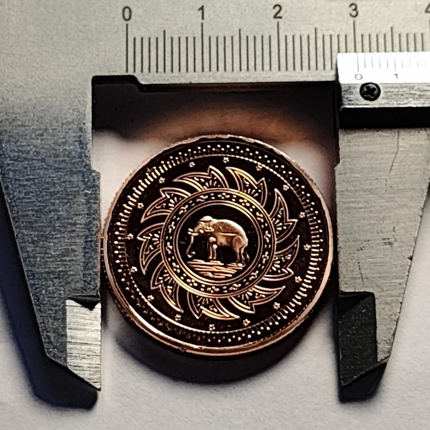 泉币菌-第86场-散币欢乐场 纪念章 大象 泰国？ 老挝？大象 30×2.8mm