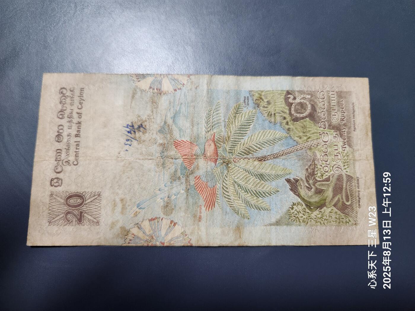 8月15号晚上8点 外国纸币自动截拍第7场