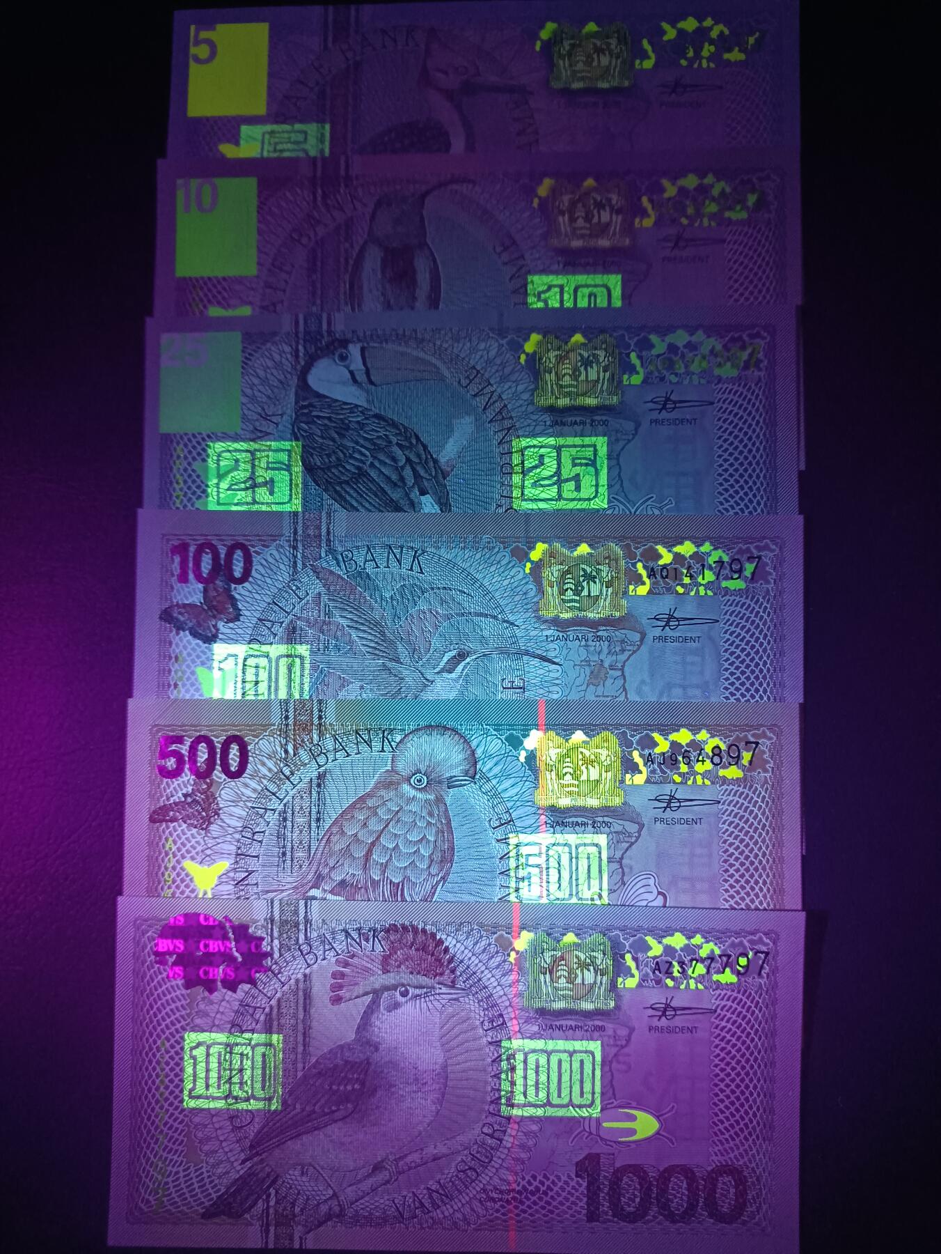 2025八月第三期（总第188期）