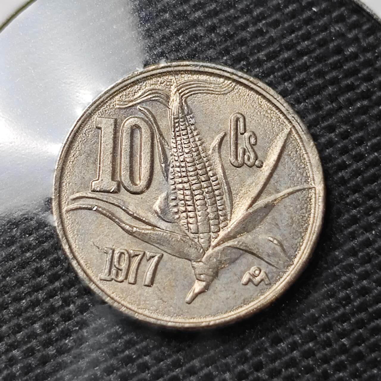 KK钱币收藏小铺 第324期 2月预留时间 周末发货 1977墨西哥10分 玉米 细节好看！