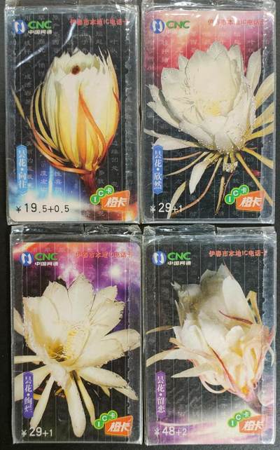 公藏第55期裸卡拍卖 - 网通IC卡样卡（IC-2005-B3    昙花一现无芯片）4全原封套。
