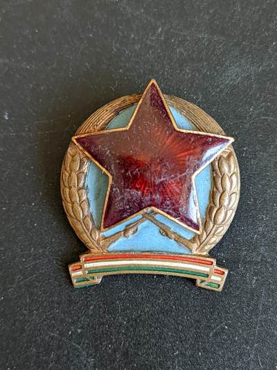 韵星假日拍卖第二十一期 -- Rimey Holidays Auction 21 - 匈牙利人民共和国早期工战队优秀成员奖章 热珐琅