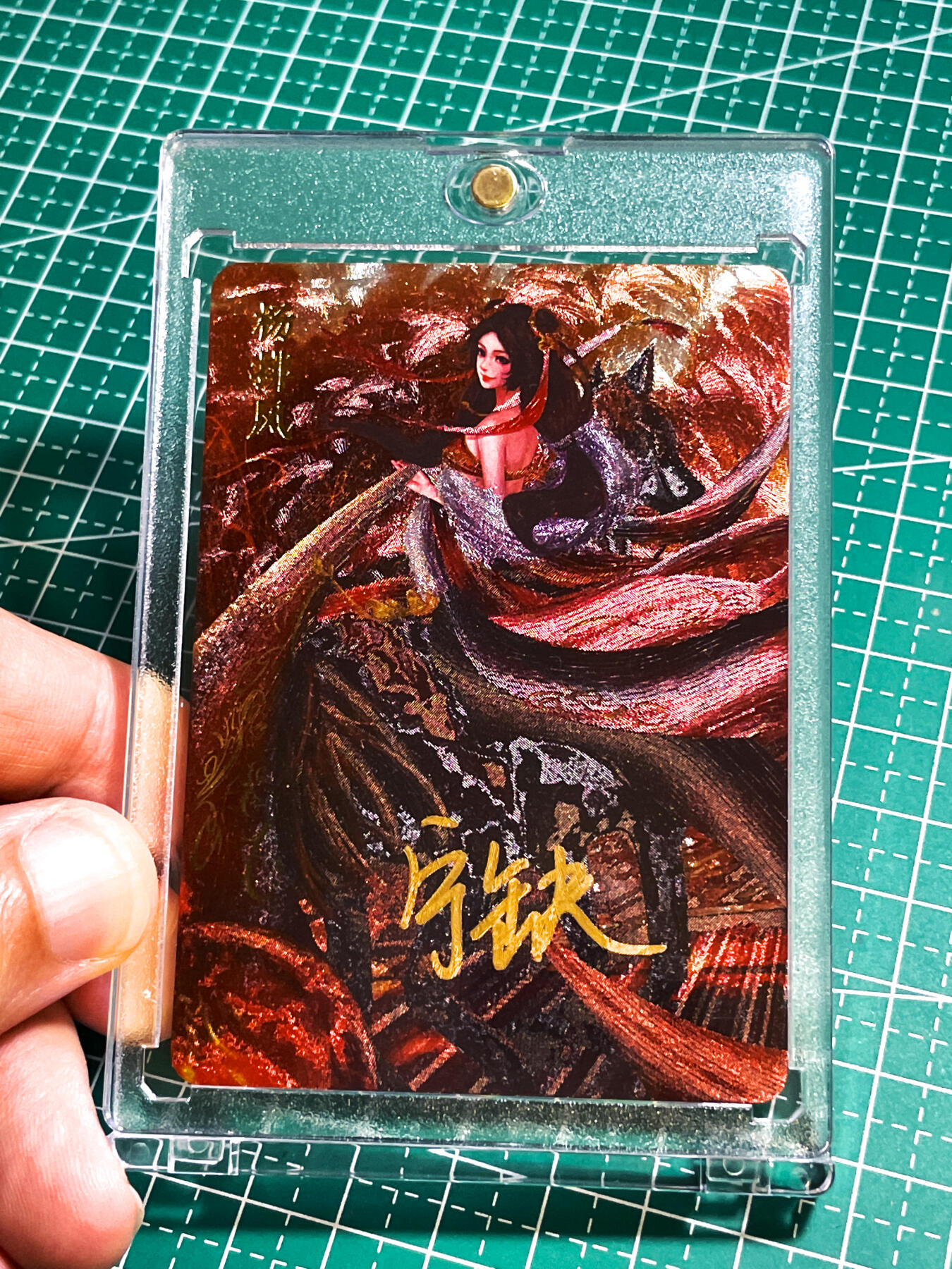 显眼宝28期【关注参拍有赠卡】
