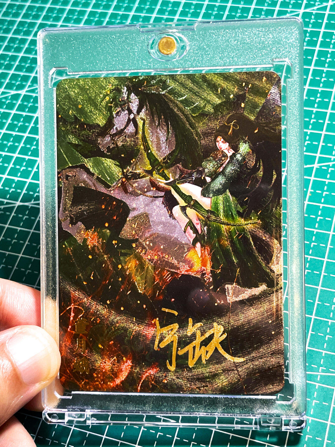 显眼宝28期【关注参拍有赠卡】