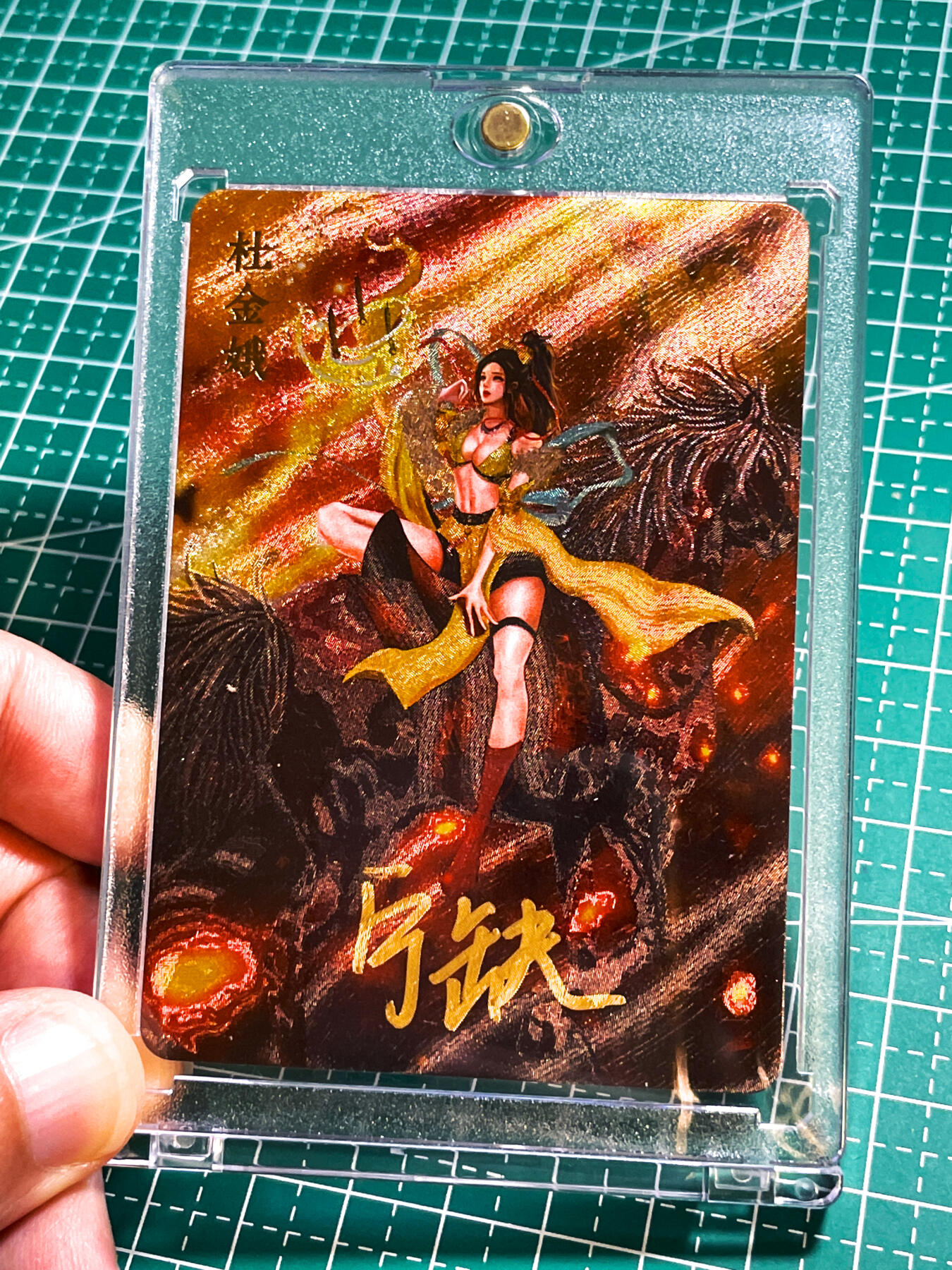 显眼宝28期【关注参拍有赠卡】