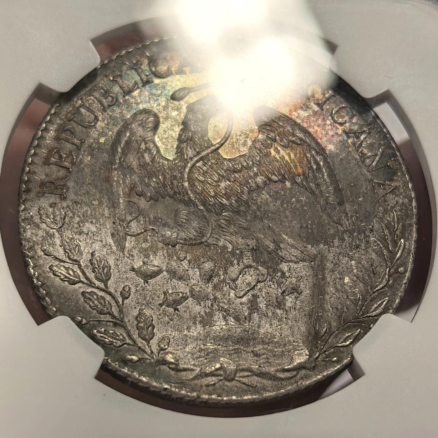 博洋堂世界钱币拍卖第135期（全场包邮）【请留意本场发货时间变化】