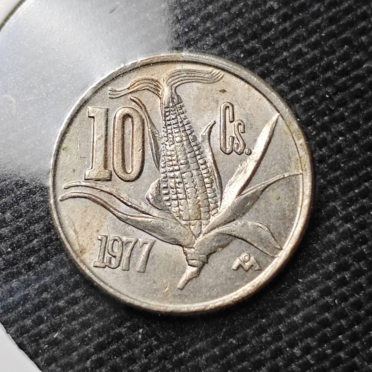 KK钱币收藏小铺 第325期 2月预留时间 周末发货  1977墨西哥10分玉米 好品