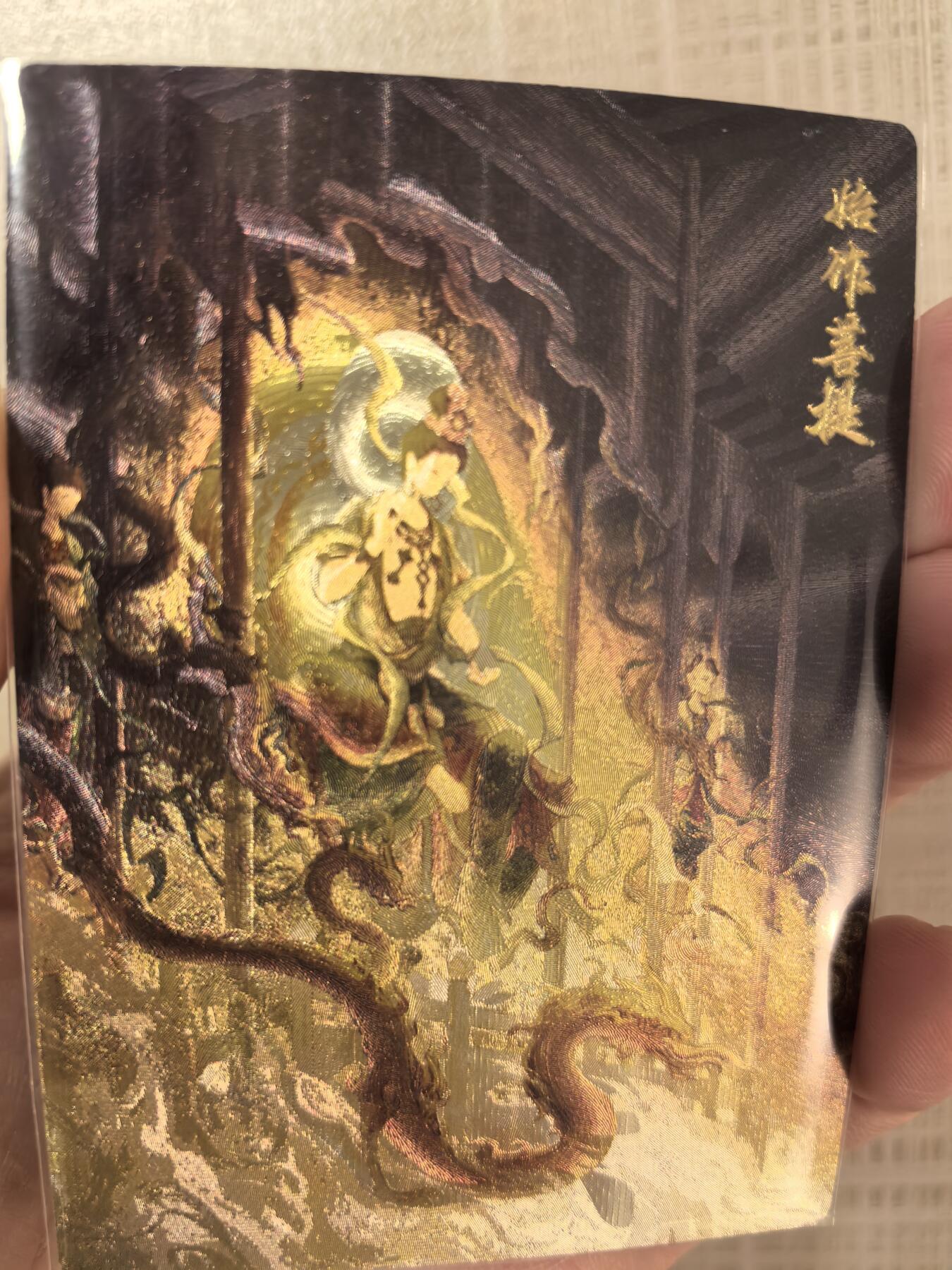 丫丫卡拍第2期（周四21：00截止）