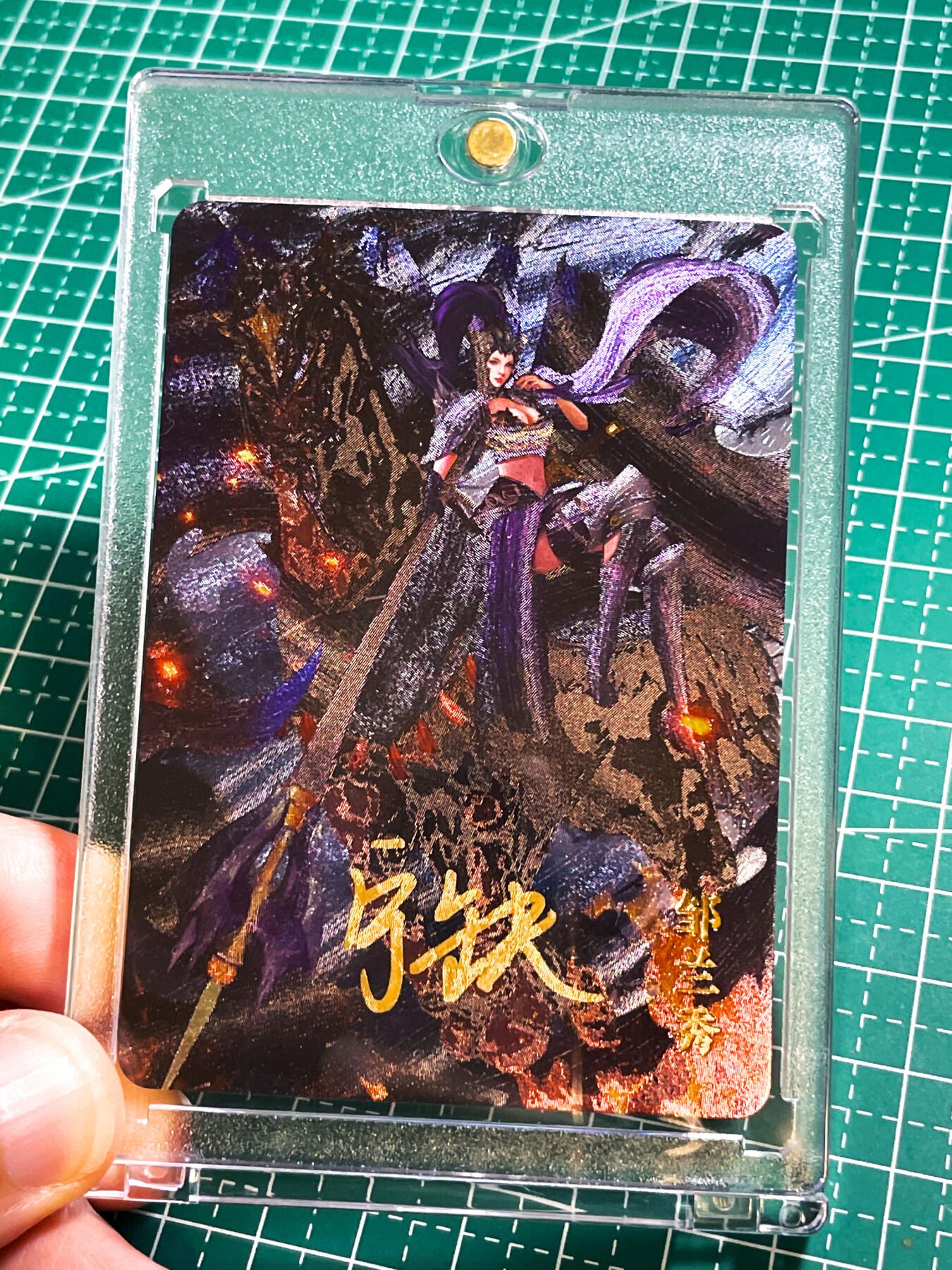 显眼宝28期【关注参拍有赠卡】