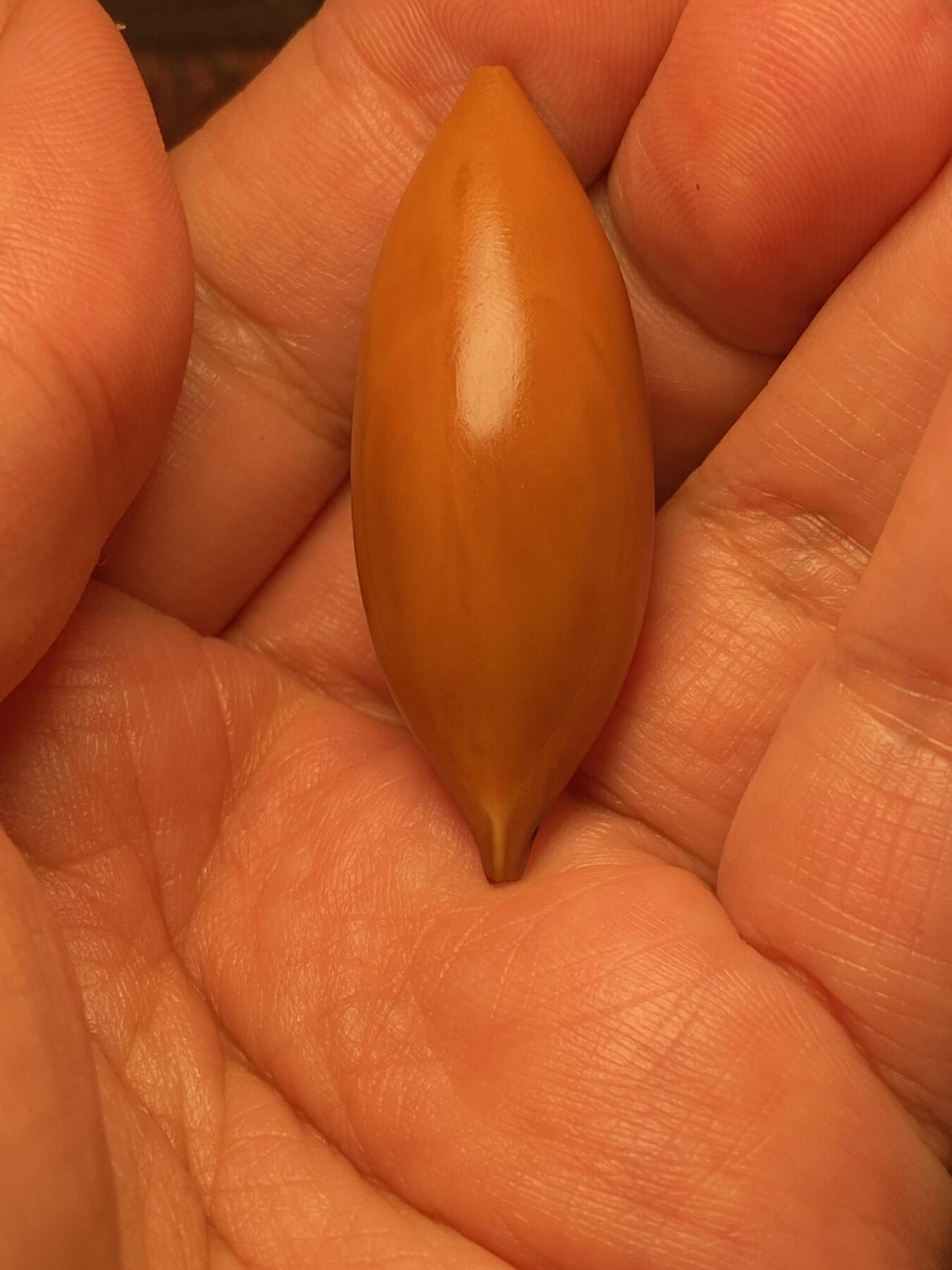 苏工手工核雕放漏价 福利苏工核雕，纯手工雕刻，二花超长灯蕊无相佛，个性十足，等待有缘人，市场无同款，尺寸1。7x4.7喜欢的来