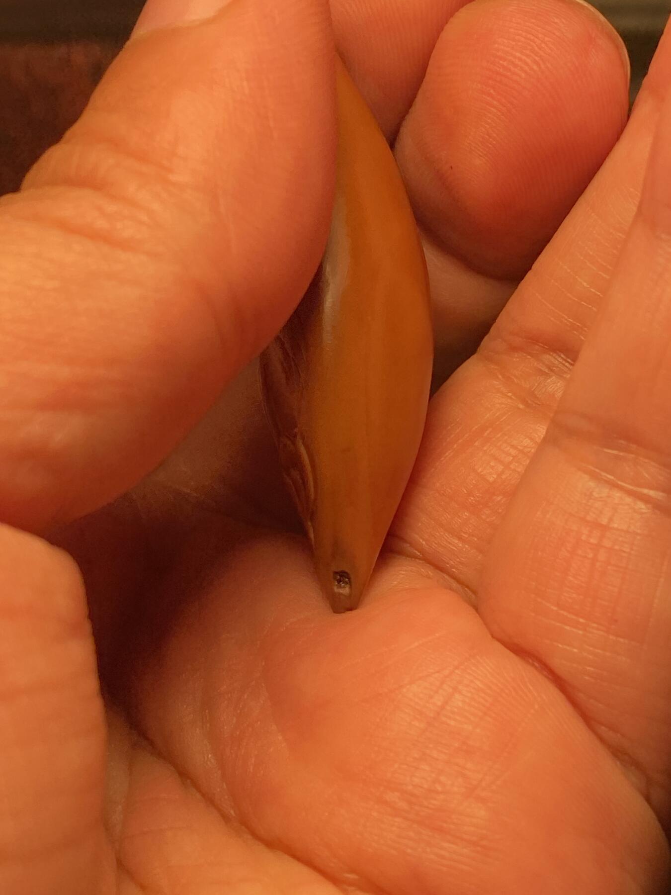 苏工手工核雕放漏价 福利苏工核雕，纯手工雕刻，二花超长灯蕊无相佛，个性十足，等待有缘人，市场无同款，尺寸1。7x4.7喜欢的来