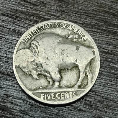 【铜匠收藏】★第129场★散币场，无佣金，30包邮。不满30元，支付5元运费。《接受代拍 代送NGC评级》 - 美国 5分 野牛