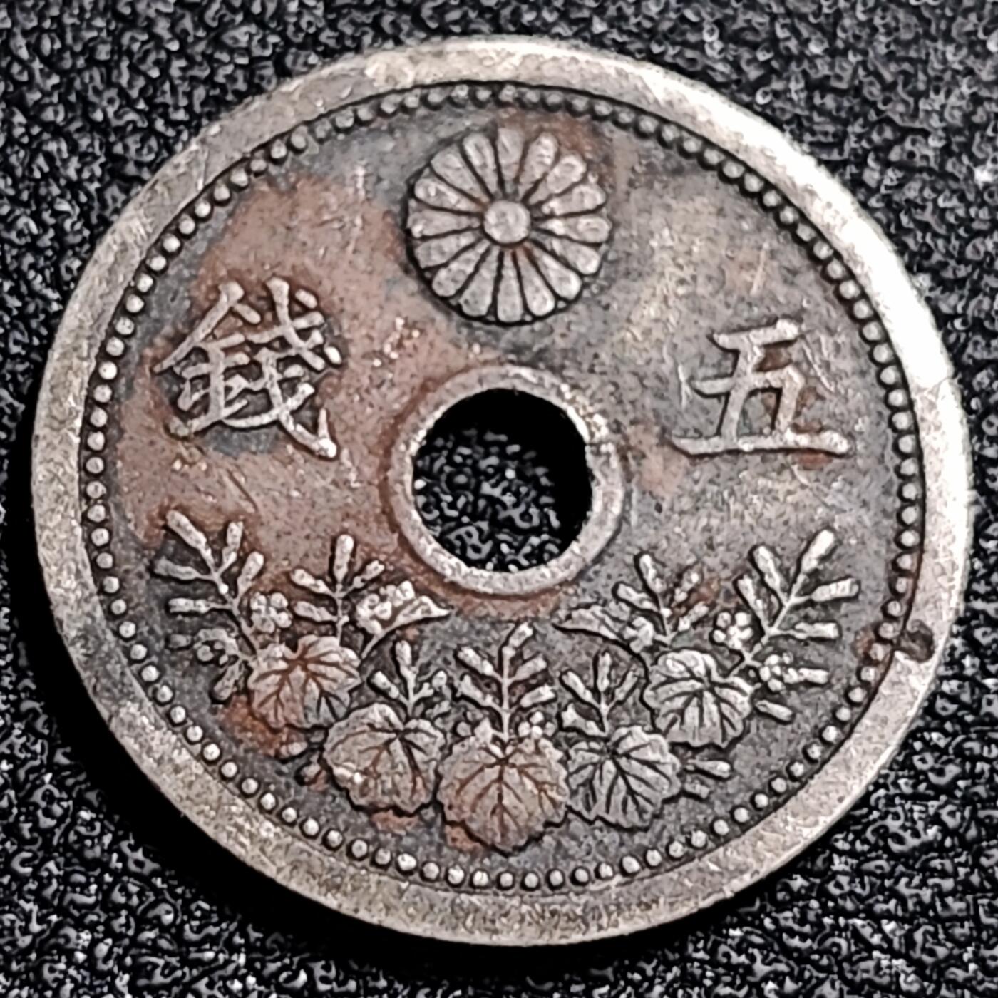 泉币菌-第87场-散币乐园场