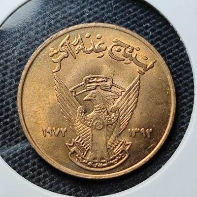 KK钱币收藏小铺 第325期 2月预留时间 周末发货 -  苏丹5米利姆铜币 好品