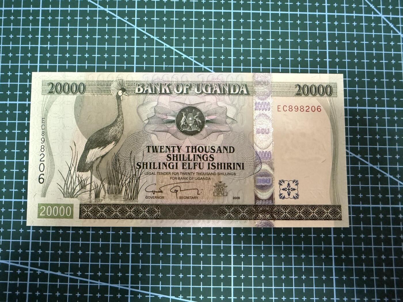 【炜奕收藏】，第四十一期
