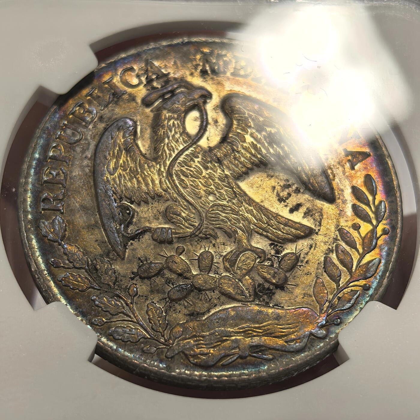 博洋堂世界钱币拍卖第135期（全场包邮）【请留意本场发货时间变化】