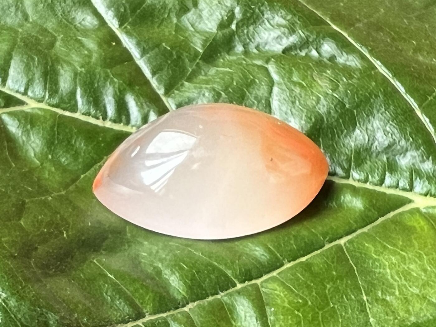 零元拍：南红玛瑙冰飘戒面，底部有一处小隐裂，镶嵌后看不出来。尺寸：约5.4克，32/15/9MM，凉山联合冰飘料，满荧光，红色飘花非常漂亮颜色以实物为准。拍中即送一斤南红鱼缸练手料，只多不少。