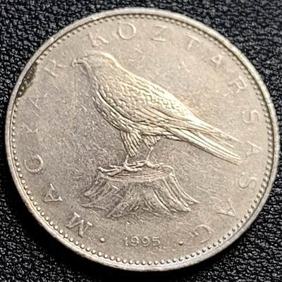 泉币菌-第90场-散币乐园场 凯斯猎鹰 匈牙利1995年50福林銅镍硬币 27.4毫米 7.7克