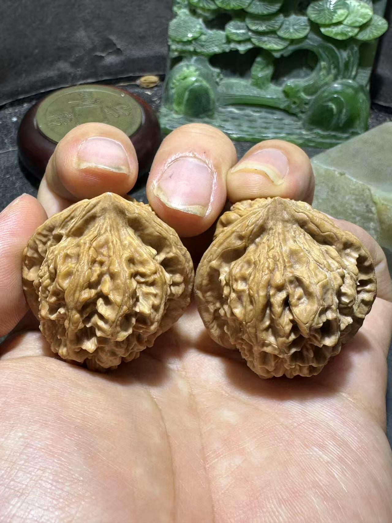 精美小众野生磐石狮子头手捻文玩核桃一对，