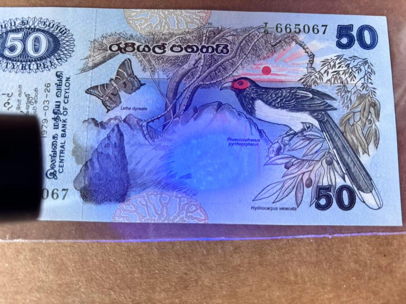 【Blue Auction】世界纸币精拍第711期——18级TOP拍卖/信誉/品质/专业/高效💫 斯里兰卡 1979年50卢比 UNC-