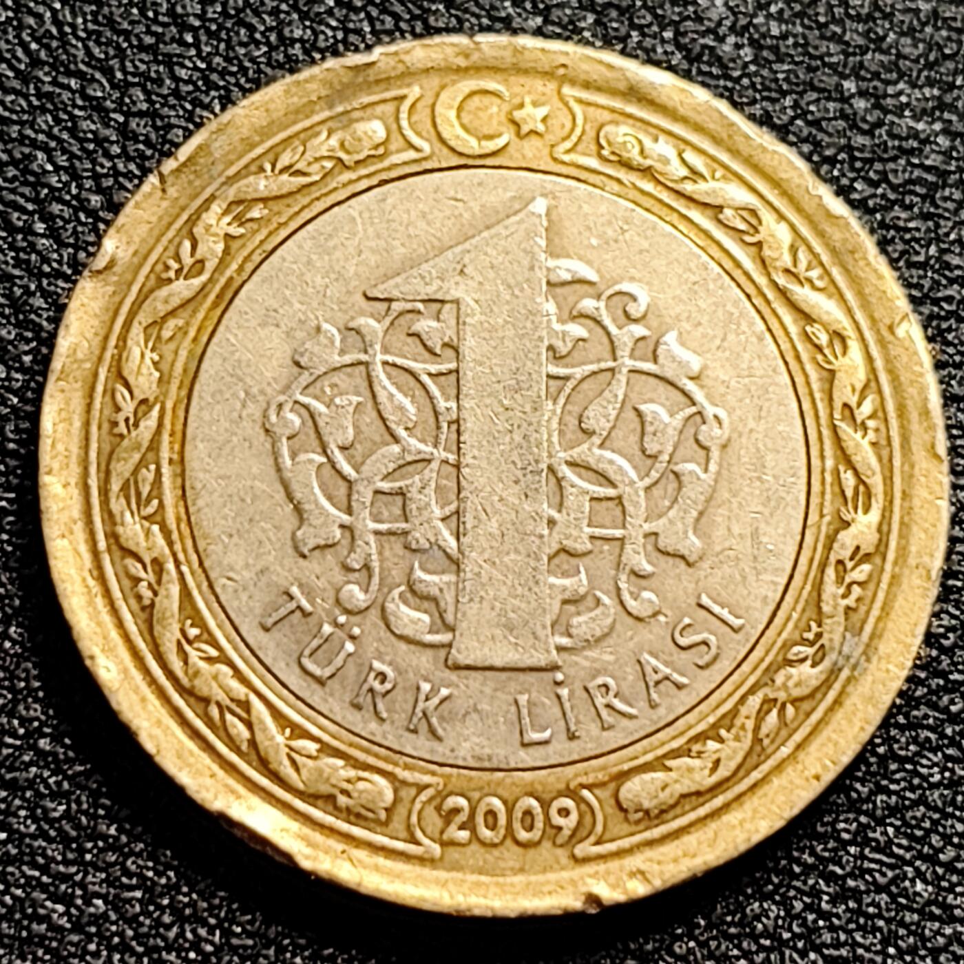 泉币菌-第89场-散币乐园场 土耳其1里拉双色币 凯末尔总统 26mm