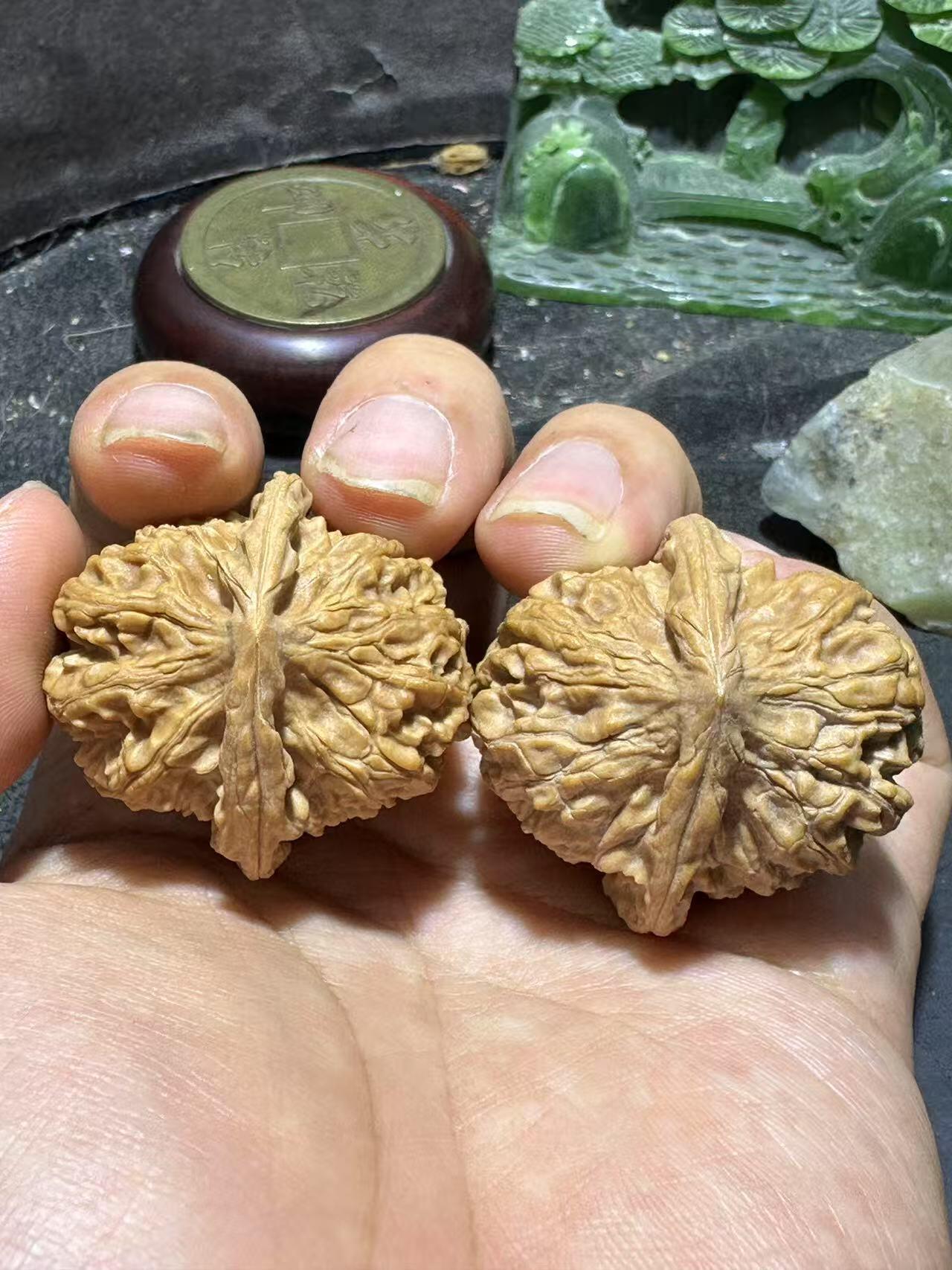精美小众野生磐石狮子头手捻文玩核桃一对，