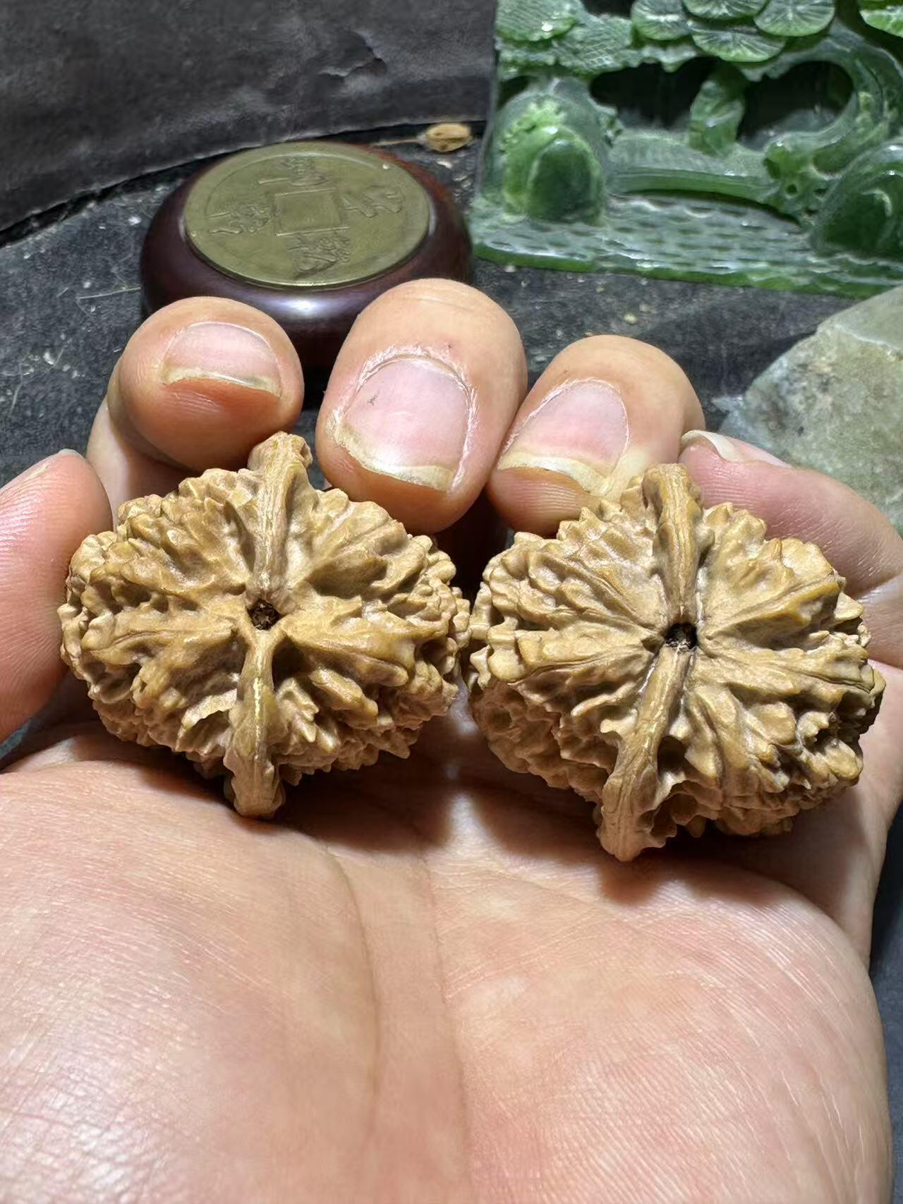 精美小众野生磐石狮子头手捻文玩核桃一对，