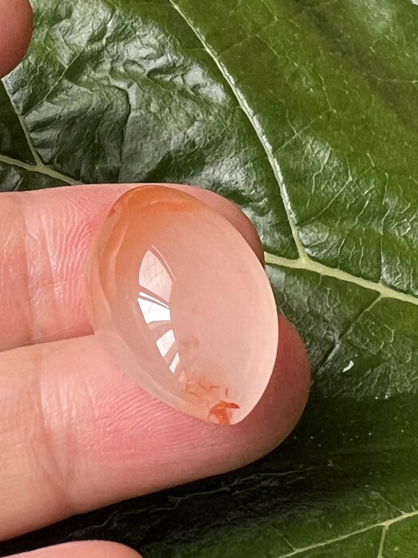 零元拍：南红玛瑙冰飘戒面，底部有一处小隐裂，镶嵌后看不出来。尺寸：约5.4克，32/15/9MM，凉山联合冰飘料，满荧光，红色飘花非常漂亮颜色以实物为准。拍中即送一斤南红鱼缸练手料，只多不少。