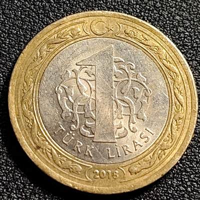 泉币菌-第88场-散币乐园场 - 原光美品 土耳其1里拉双色币 凯末尔总统 26mm
