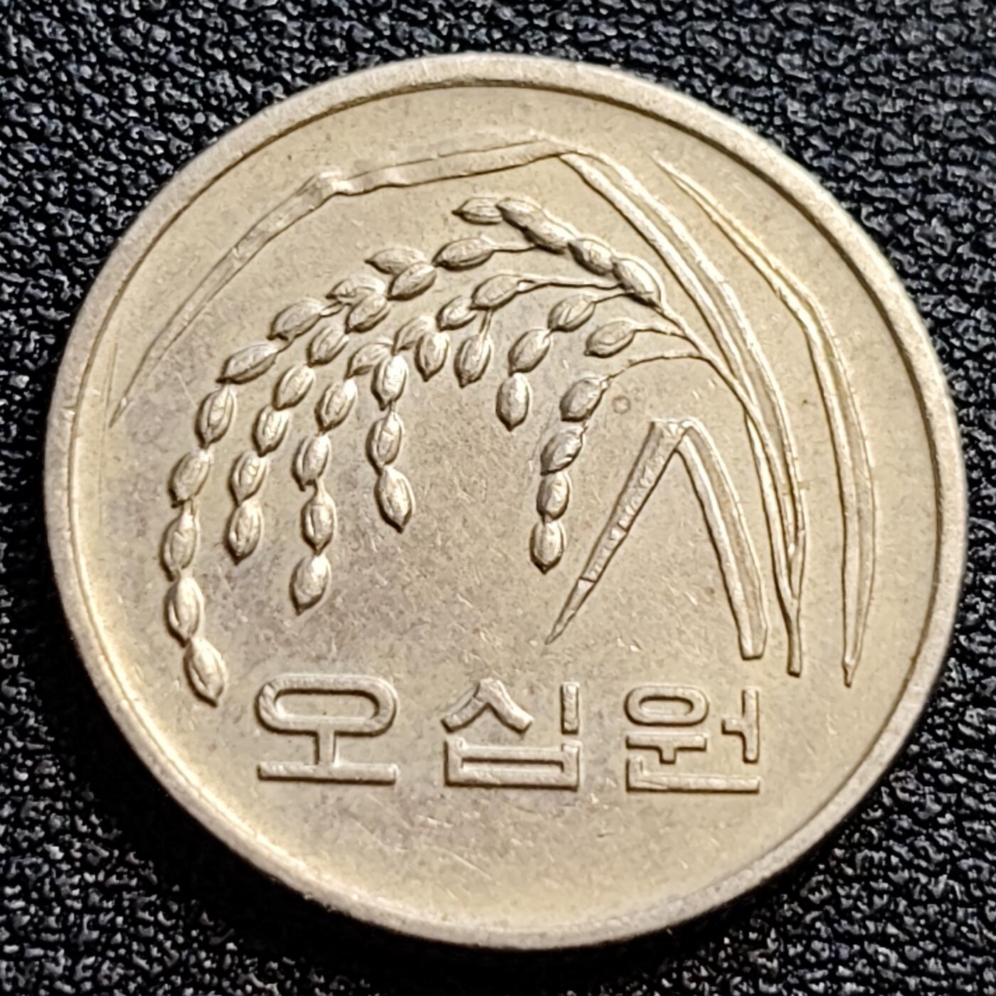 泉币菌-第90场-散币乐园场