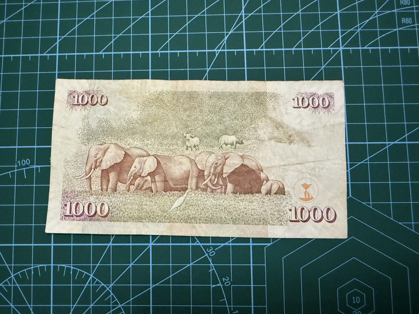 【炜奕收藏】，第四十一期 2010年肯尼亚1000先令，流通品相
