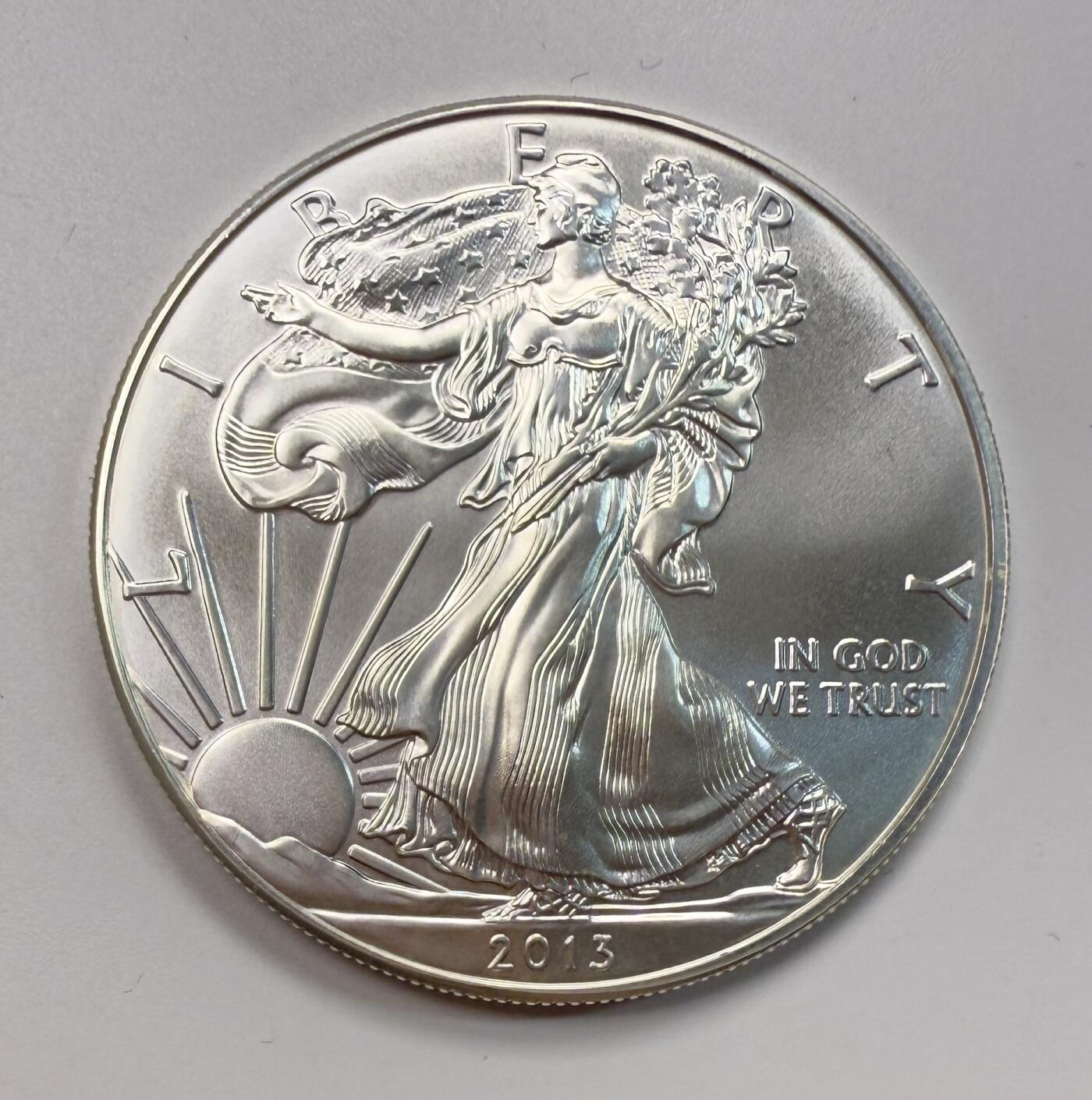 S&S Numismatic世界钱币-拍卖 第113期  美国2013年 自由行走女神 1美元1盎司投资银币 31.1克999银