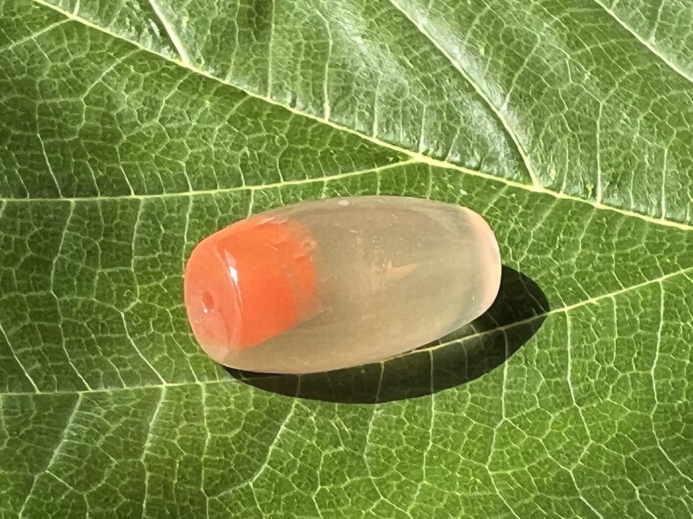 零元拍：南红玛瑙桶珠，约7克，24/18MM，颜色以实物为准。拍到的再送一斤南红鱼缸料，只多不少