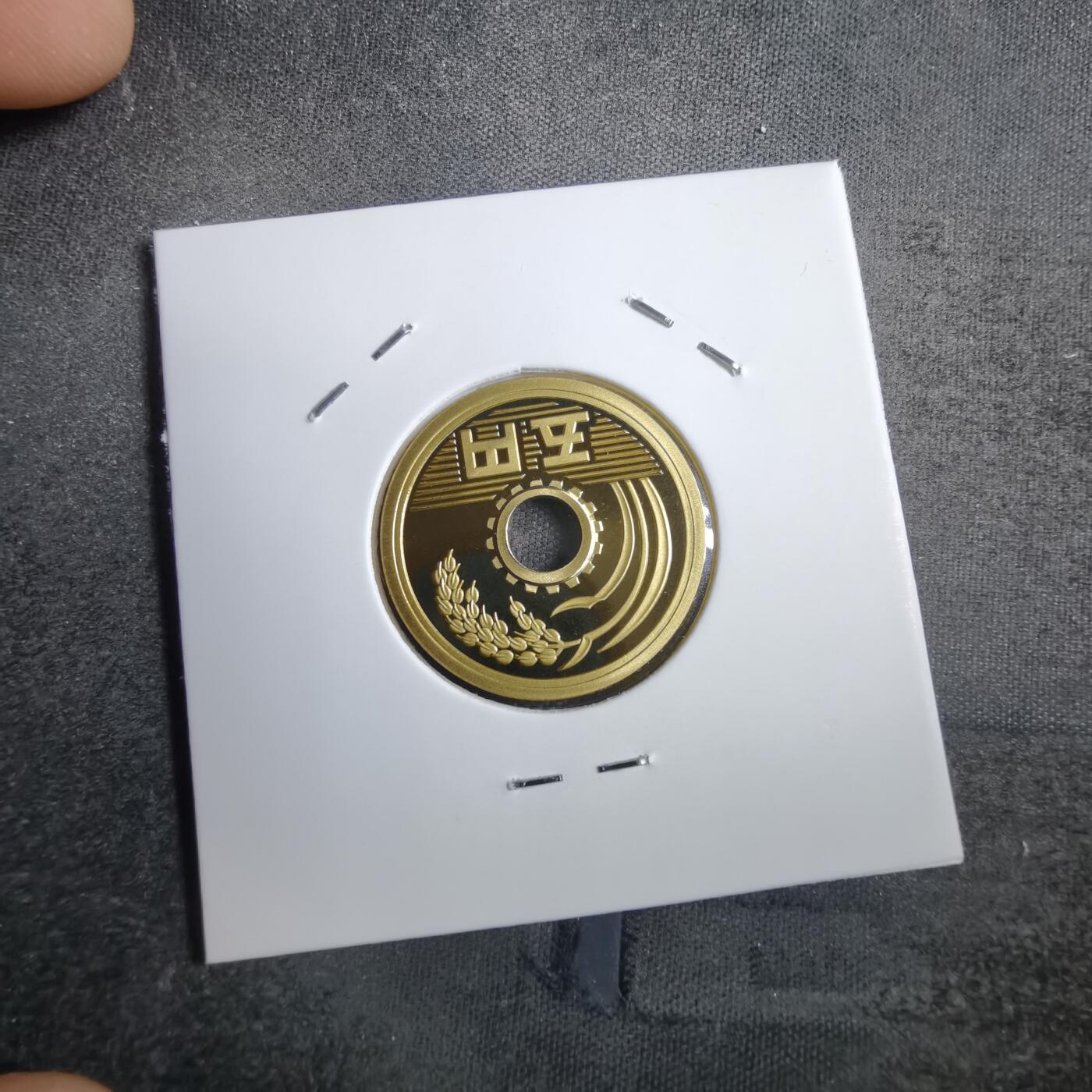 沼泽如烟--第812场