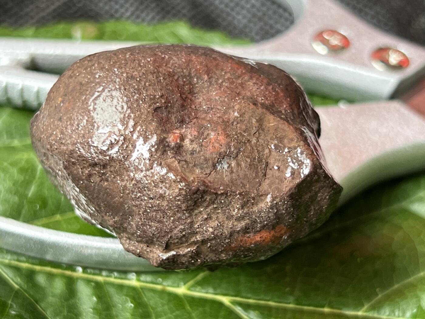 零元拍：南红玛瑙手把石。约107克，开口红艳艳，纯天然，独一无二的（天然原石不可避免有瑕疵，裂纹，介意勿拍）因为拍照环境以及光线的变化，颜色以实物为准。成品很美丽，原石亦魅力无穷。