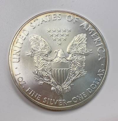 S&S Numismatic世界钱币-拍卖 第113期  - 美国2013年 自由行走女神 1美元1盎司投资银币 31.1克999银
