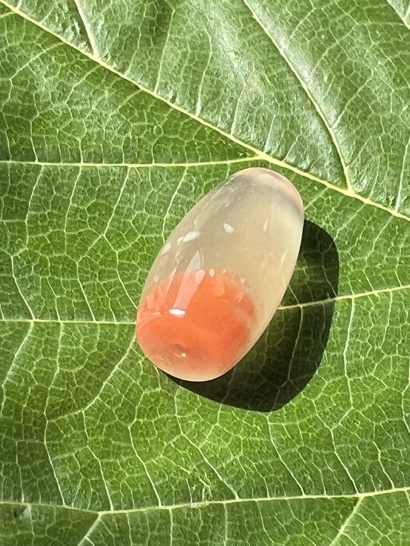 零元拍：南红玛瑙桶珠，约7克，24/18MM，颜色以实物为准。拍到的再送一斤南红鱼缸料，只多不少
