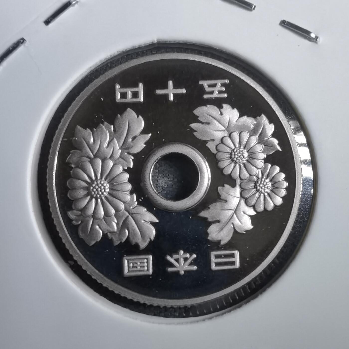 沼泽如烟--第812场