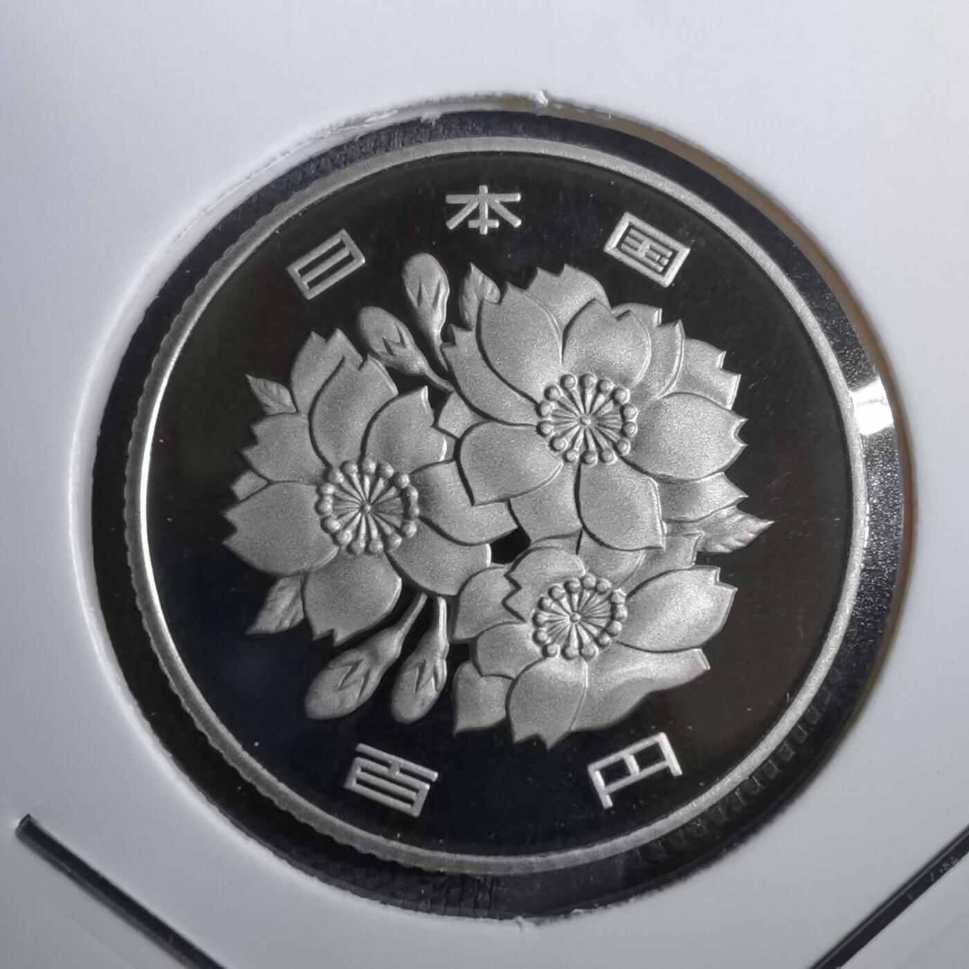 沼泽如烟--第812场