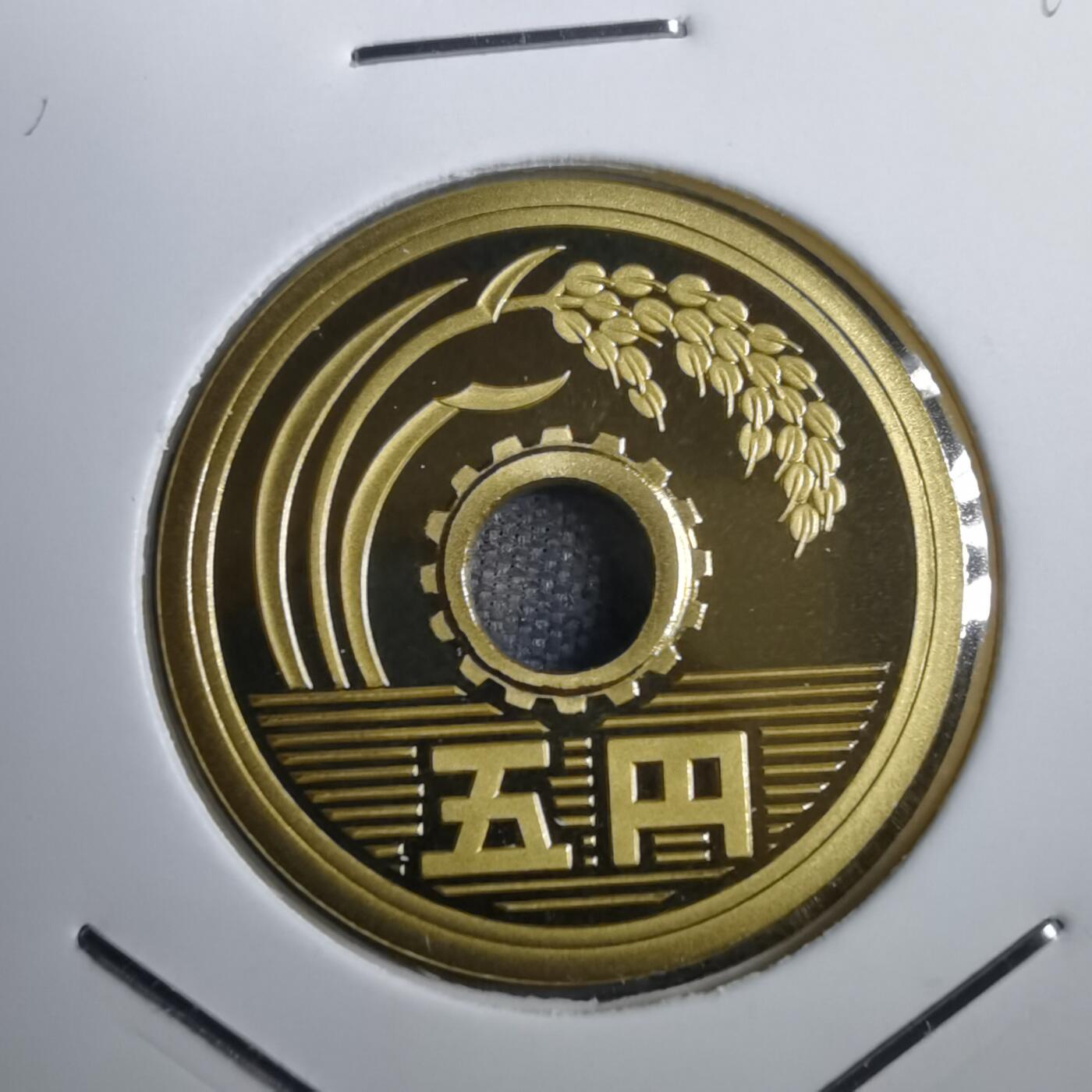 沼泽如烟--第812场