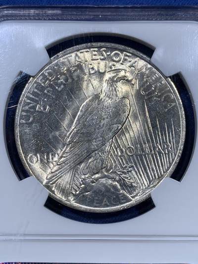 《竞宝斋》第409场 周日，周一，2场连拍 （全场包邮） NGC MS63 美国1923年和平一元银币