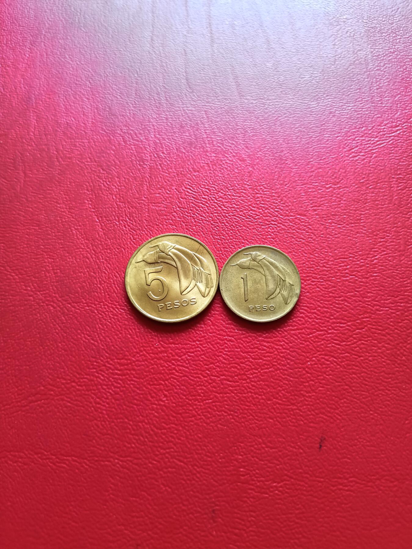 【云涧收藏】第五十四场 乌拉圭1969年1、5比索2枚