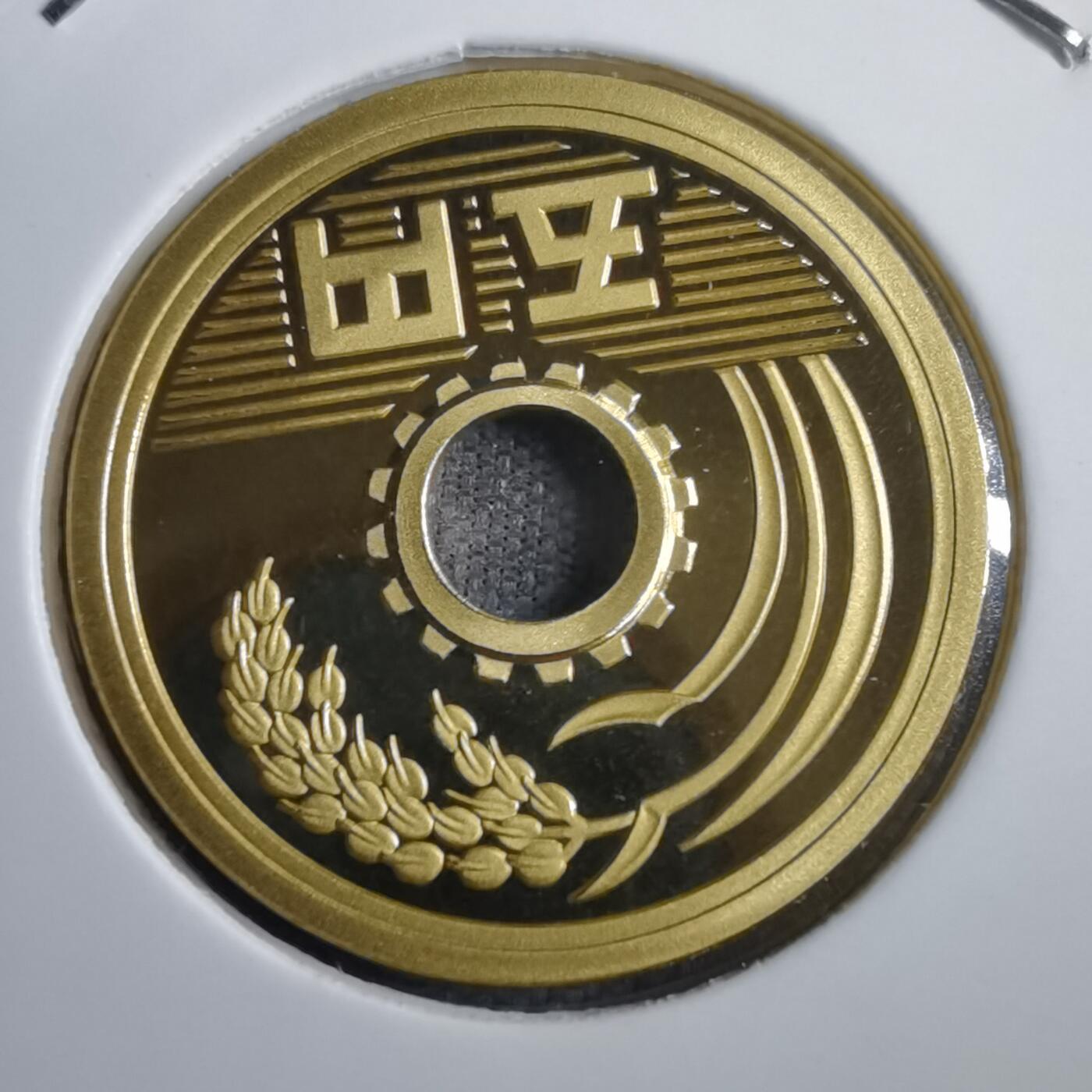 沼泽如烟--第812场