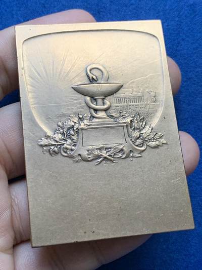 《竞宝斋》第409场 周日，周一，2场连拍 （全场包邮） 医药协会纪念章 127.8克 48*73.5mm