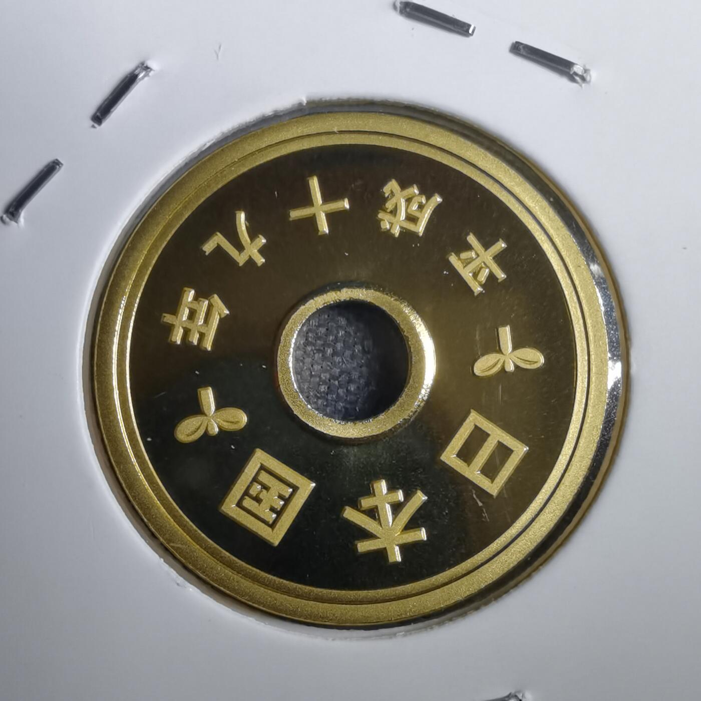 沼泽如烟--第812场